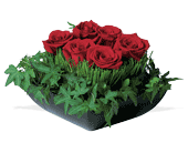 Simply Roses, picture