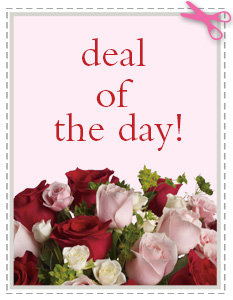 Deal of the Day in Parma OH, Ed Pawlak & Son Florists